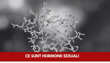 Ce sunt Hormonii Sexuali: Rolul acestora în organism & Tipuri
